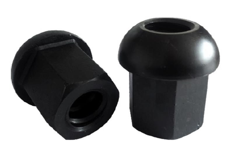 Domed NutĢ^ĸ.jpg